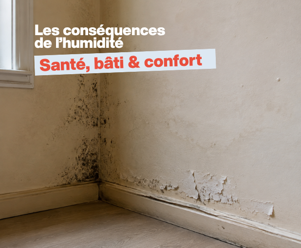 Moisissures et peinture dégradée causées par l’humidité dans une maison