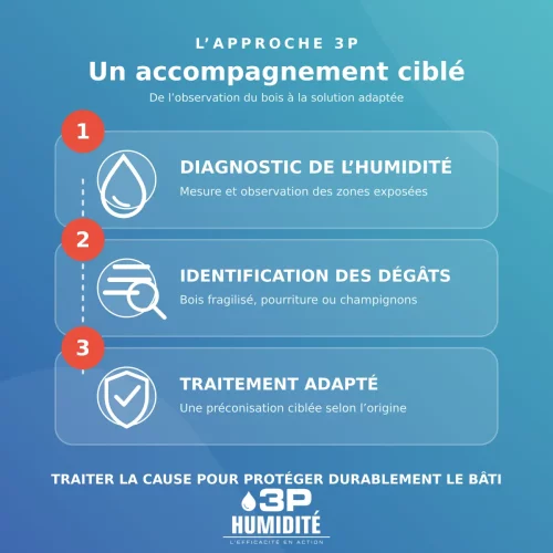 Les trois étapes de l’accompagnement 3P pour traiter l’humidité du bâti