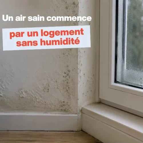 Moisissures et condensation visibles dans un salon humide